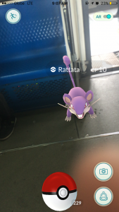 Rattata's trying to eat passengers on the train